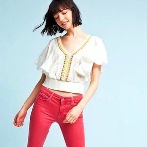 COPY - Anthropologie Floreat crop top, XS